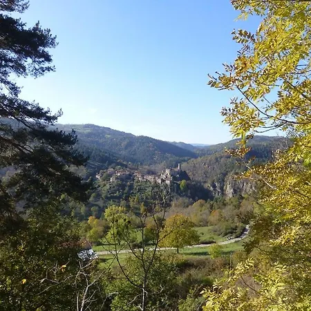 度假居 En Pierre Avec Terrasses, Proche De Sites Medievaux, Ideal Pour Famille Avec Equipements Bebe. - Fr-1-582-256 Boisset (Haute-Loire)